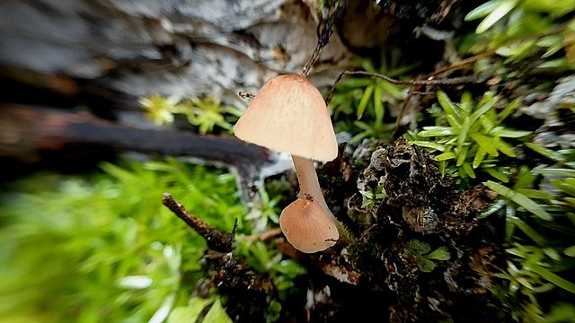 IMG_20250809_144535.jpg