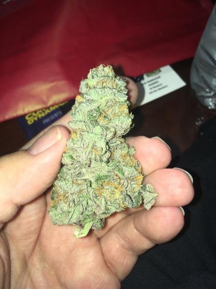 cowboys bud.jpg