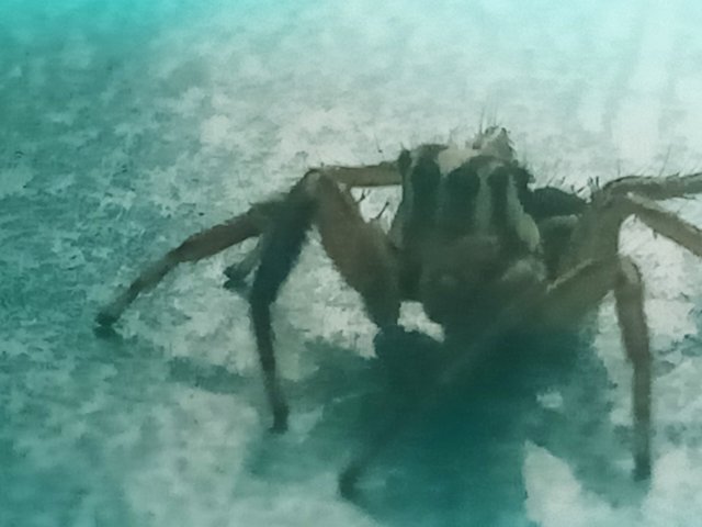 .trashed-1753994074-IMG_20250622_163942.jpg