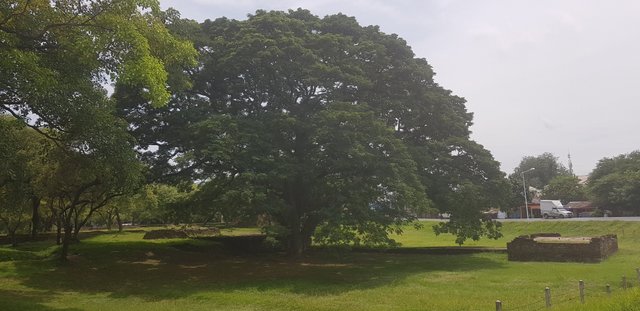 20180803_131303.jpg
