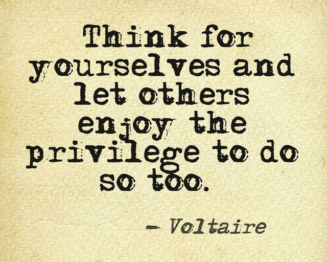 07d72c9f3ce77174c2e3015a1fe767ad--voltaire-quotes-story-quotes.jpg