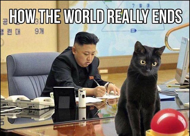 kimcat.jpg