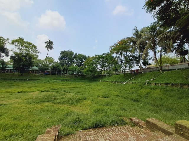 1000031590.jpg