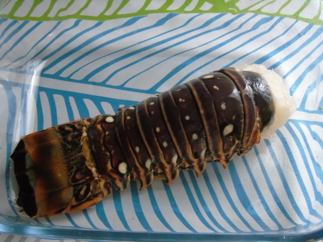 1langouste (7).JPG