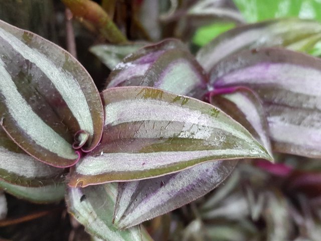 20250529_122659.jpg