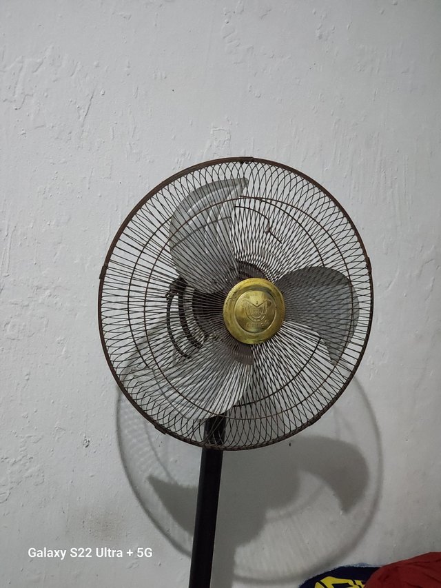 1000067330.jpg