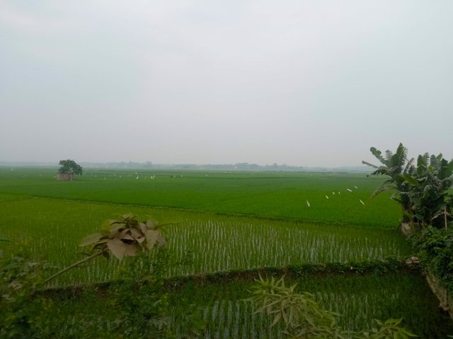 IMG_20250321_090927.jpg