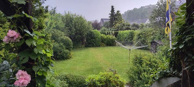 RAIN.jpg