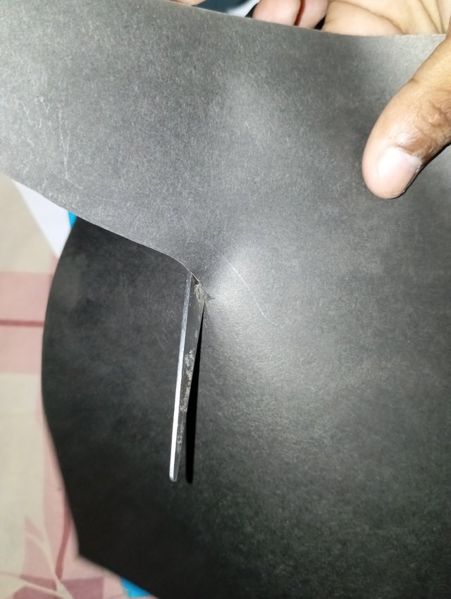 1000065322.jpg