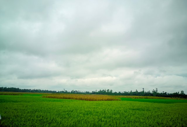 1000016451.jpg