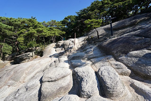 b-DSC08703.JPG