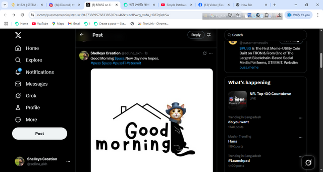 xp2.png