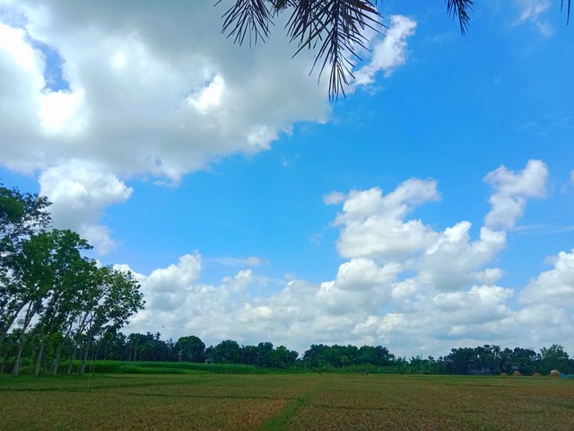 IMG_20250814_201802.jpg
