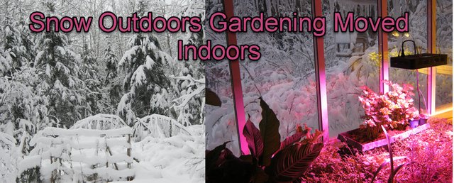 snow covering middle garden combined with warm glow on indoor garden.JPG
