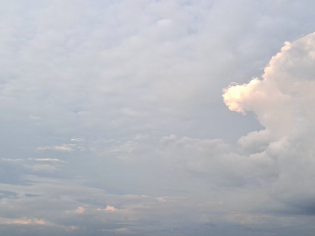 20250706_184202.jpg