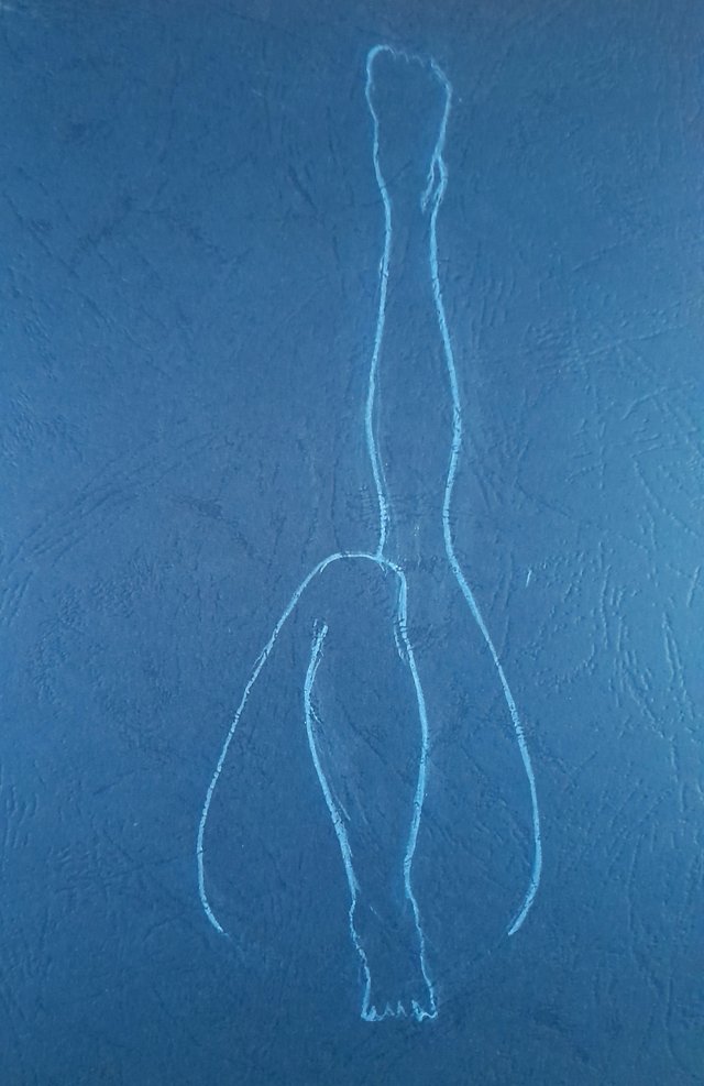 20250429_092043.jpg