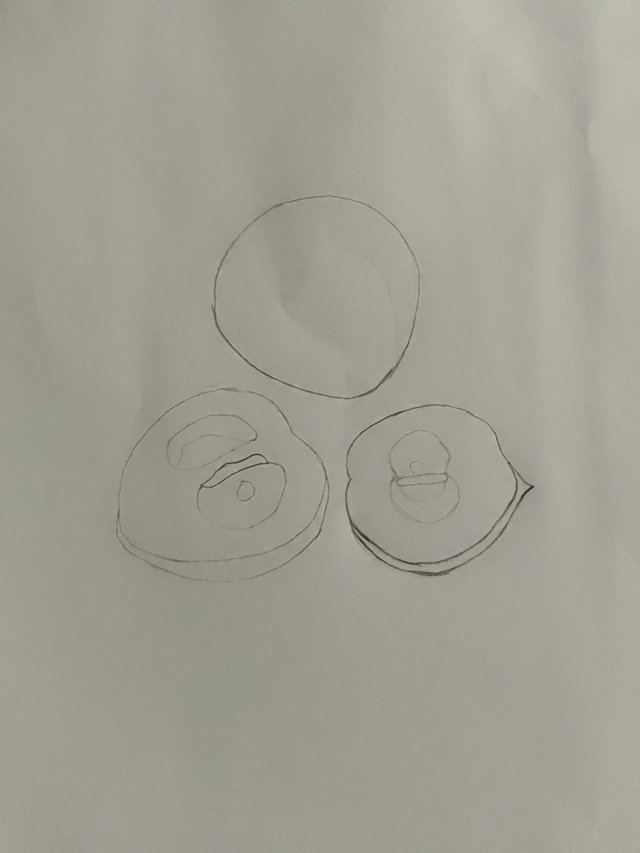 1000052008.jpg