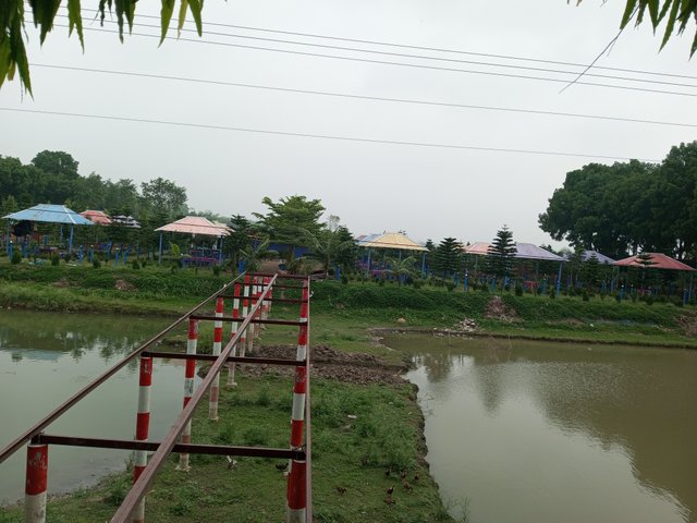 IMG_20250422_080037_787.jpg