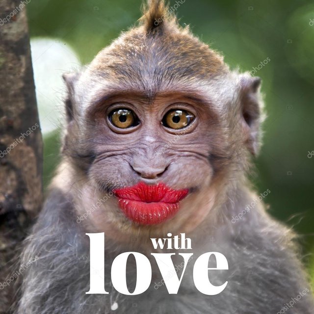 depositphotos_70260001-stock-photo-funny-monkey-with-a-red.jpg