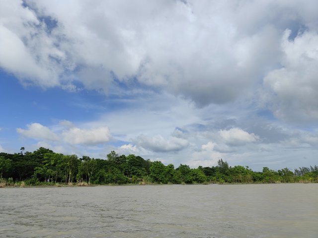 IMG_20250626_161913.jpg
