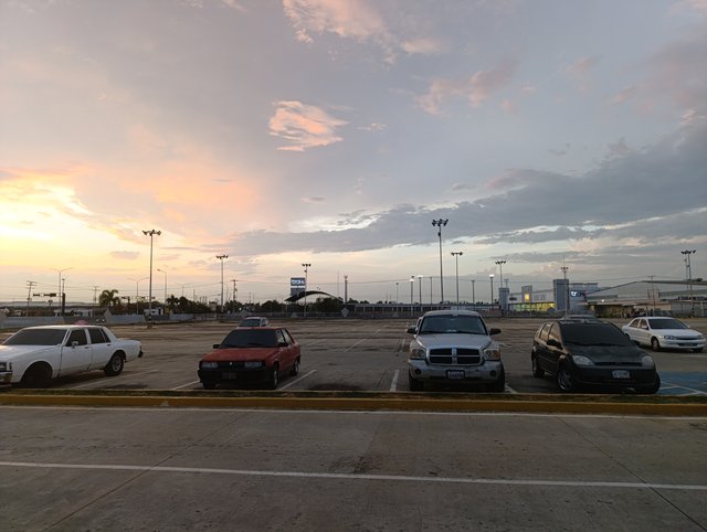 1000805587.jpg