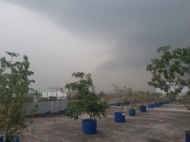 20250410_173047.jpg