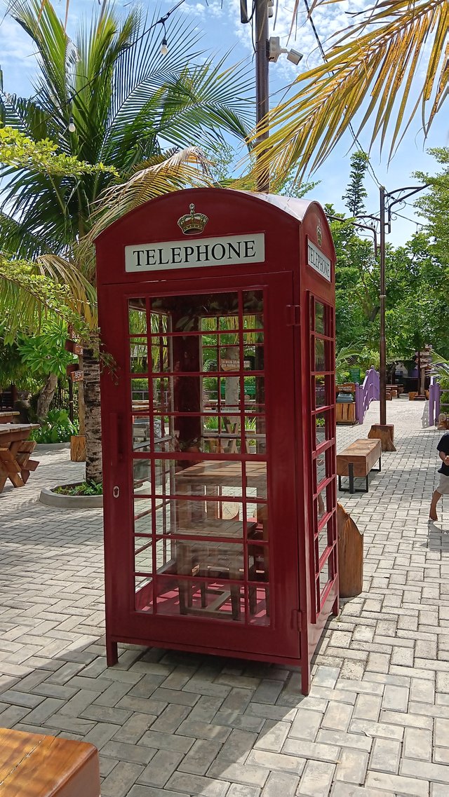 20250824_145930.jpg
