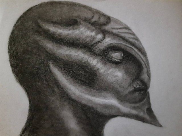 20241005_120136.jpg