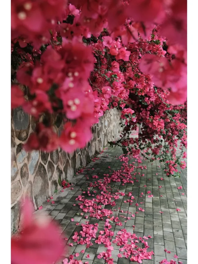 1000g0082crj9a1kgu03g49svs3b9ir9tpkmqs7g!nd_dft_wlteh_webp_3.webp