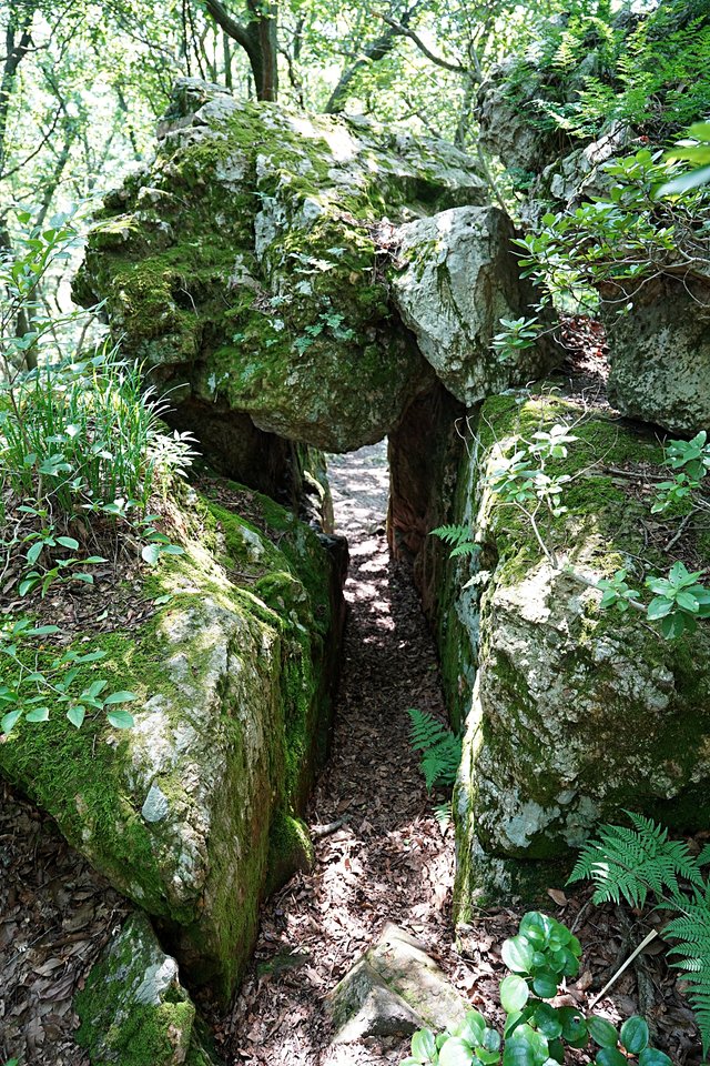 b-DSC08270.JPG