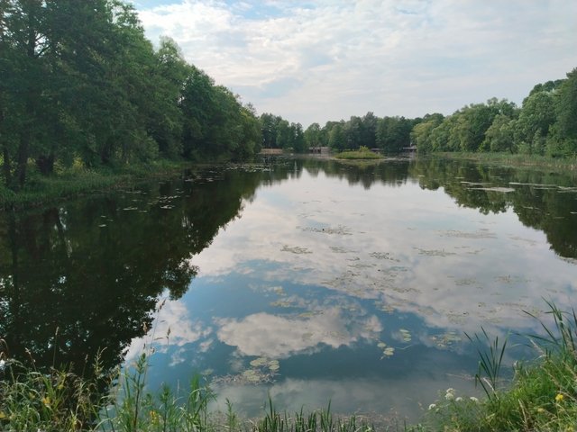 IMG_20250706_174702.jpg