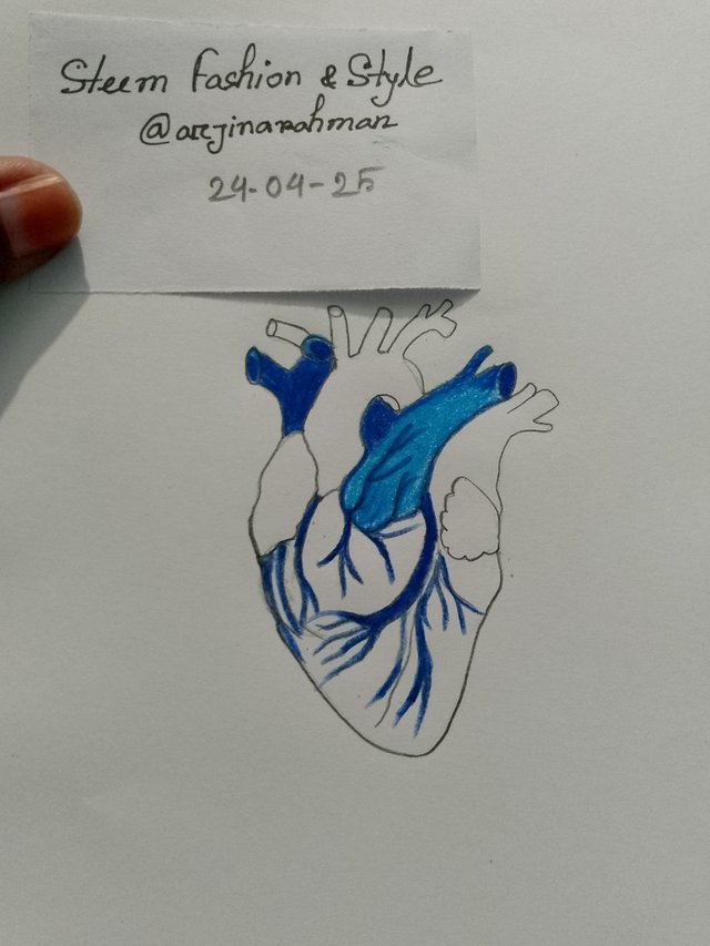 1000053105.jpg