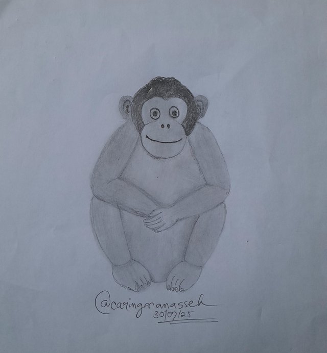 20250730_182923.jpg