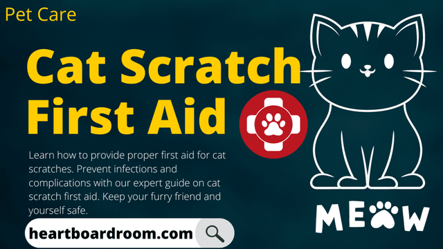 Cat-Scratch-First-Aid-1-1024x576.webp