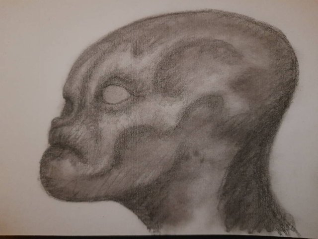 20250611_110501.jpg