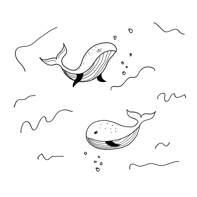 whale-6869763_1280.png