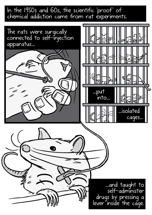 2013-05-en-Rat-Park-03.png