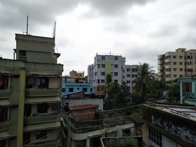 IMG_20200608_133655.jpg