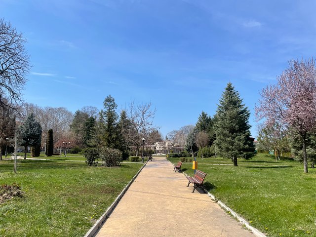 IMG_5210.jpeg