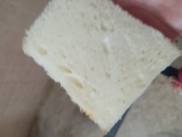 1000526850.jpg