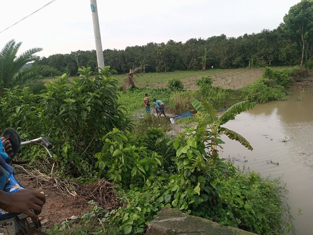 IMG_20250522_065009_807.jpg