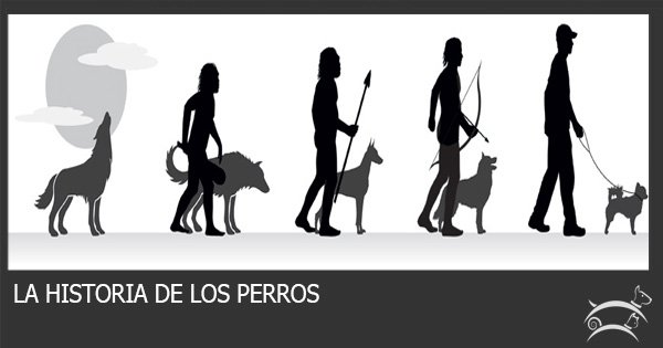 la-historia-perros.jpg