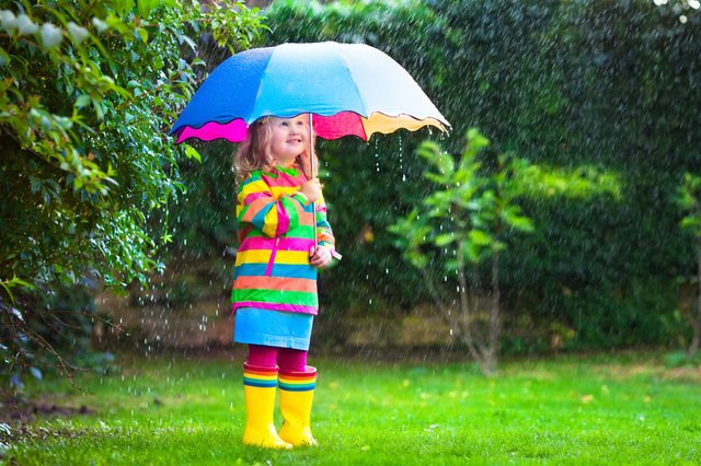 Child-Selflessly-Shields-Dog-From-Rain-With-Umbrella-in-Heartwarming.jpg