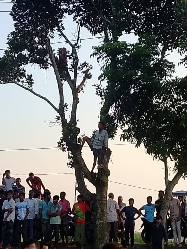 1000047791.jpg