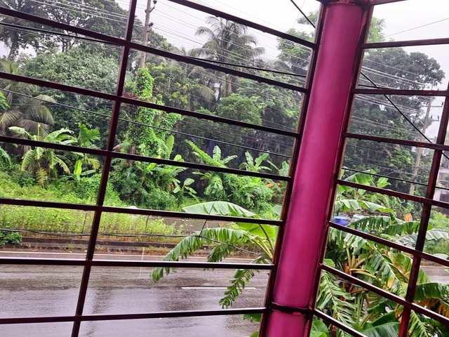 20250803_104222.jpg
