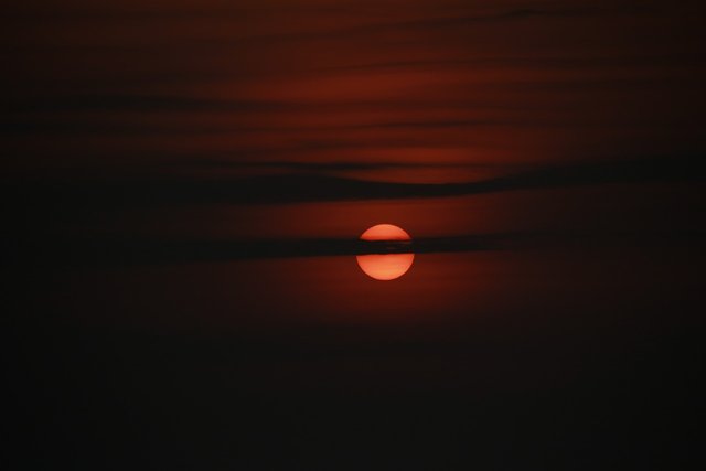 sunset-3517581_1280.jpg