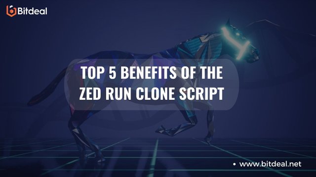 Top 5 benefits of the Zed Run clone script.jpg