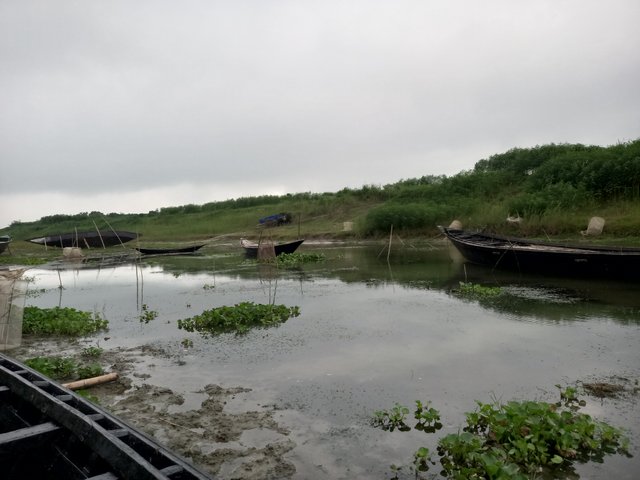 20250704_092039.jpg