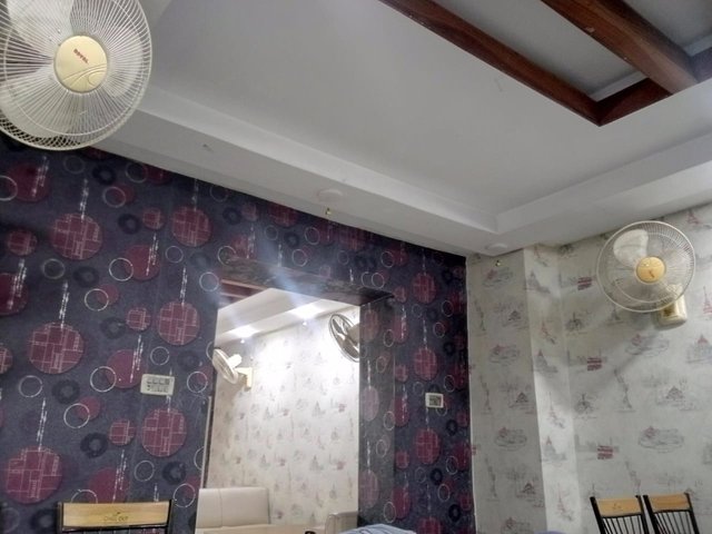 1000038831.jpg