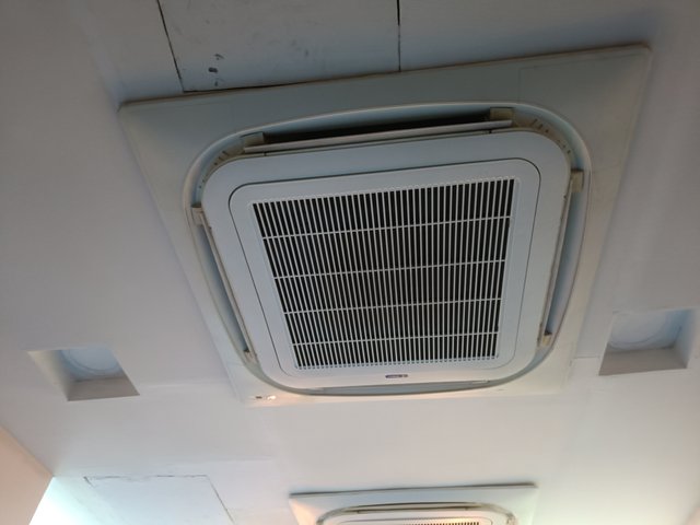 IMG20250624101126.jpg